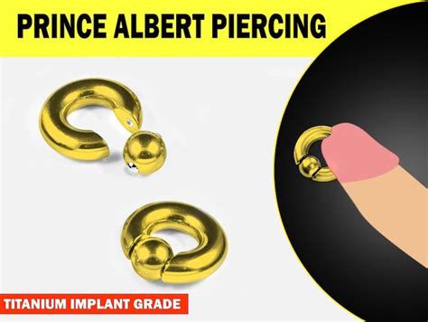 piercing prince albert ring|Prince Albert Piercing: Information & Aftercare Guide